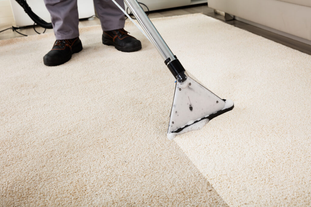 Carpet and rug cleaning services in New Tampa, FL