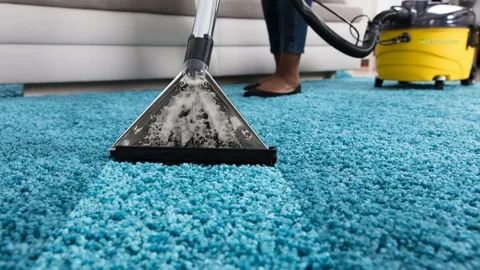 Professional Carpet and Rug Cleaning Services in New Tampa, FL