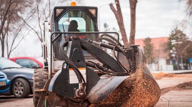 Stump Removal Services in Rocklin, CA