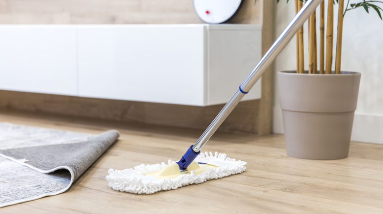 Exceptional Cleaning Services for Homes in Seattle, WA