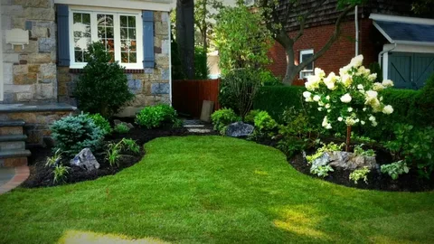 Professional Landscaping Experts