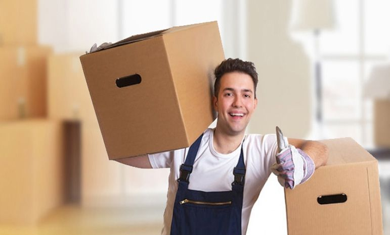 professional same-day movers