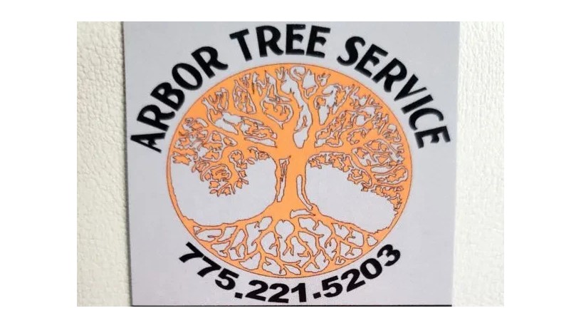 arbor-tree-service-llc-big-2